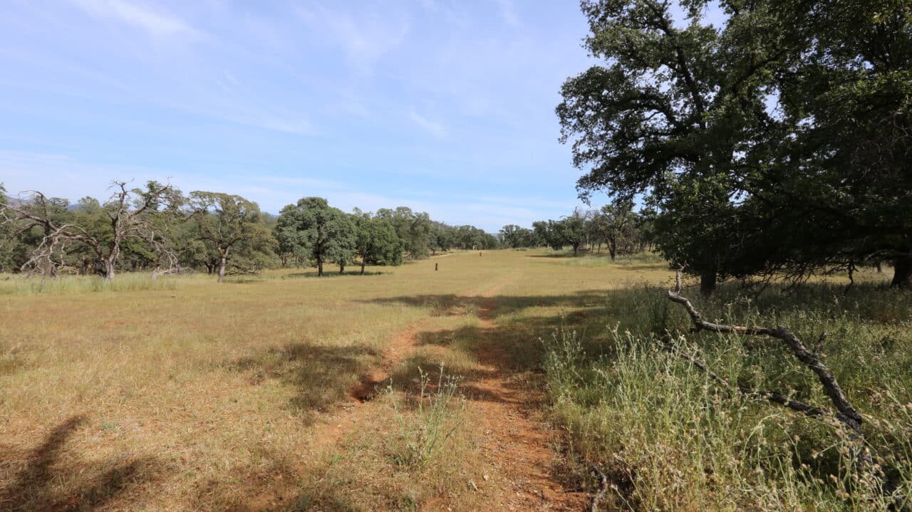 Listing Image 71