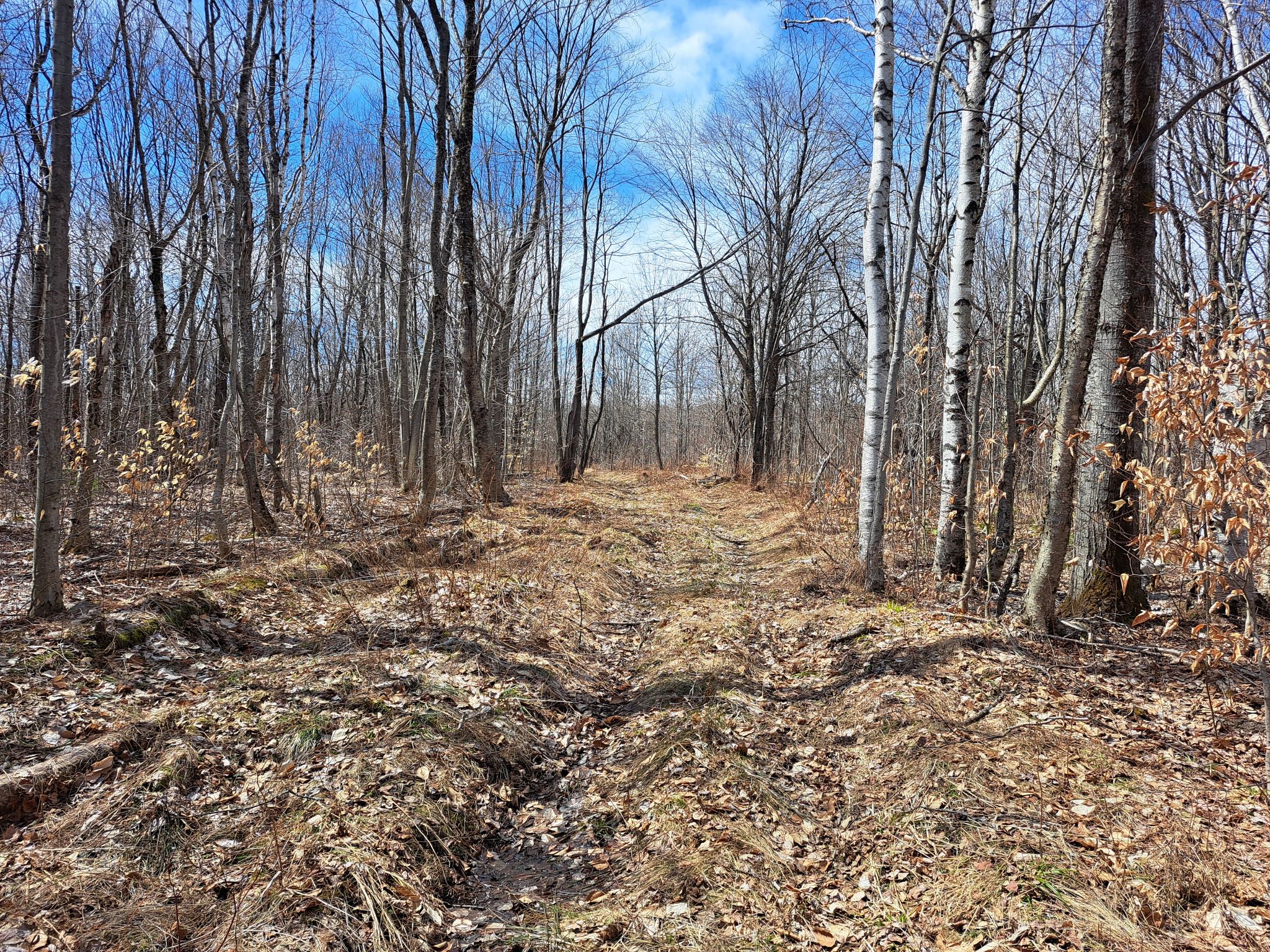 Listing Image 41