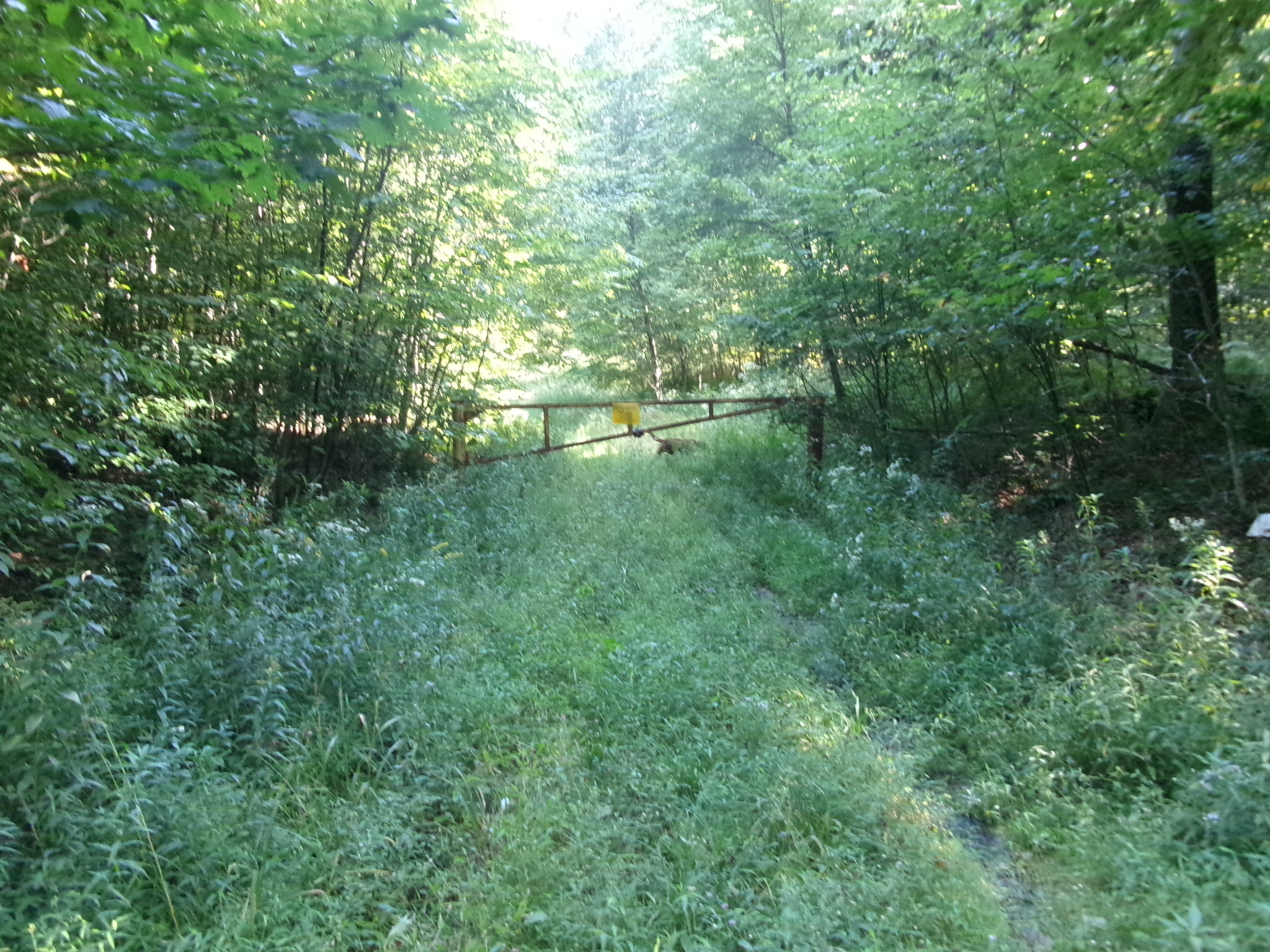 Listing Image 24