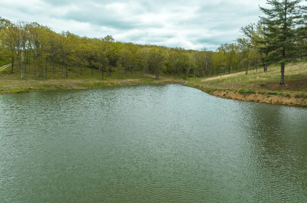 Listing Image 13