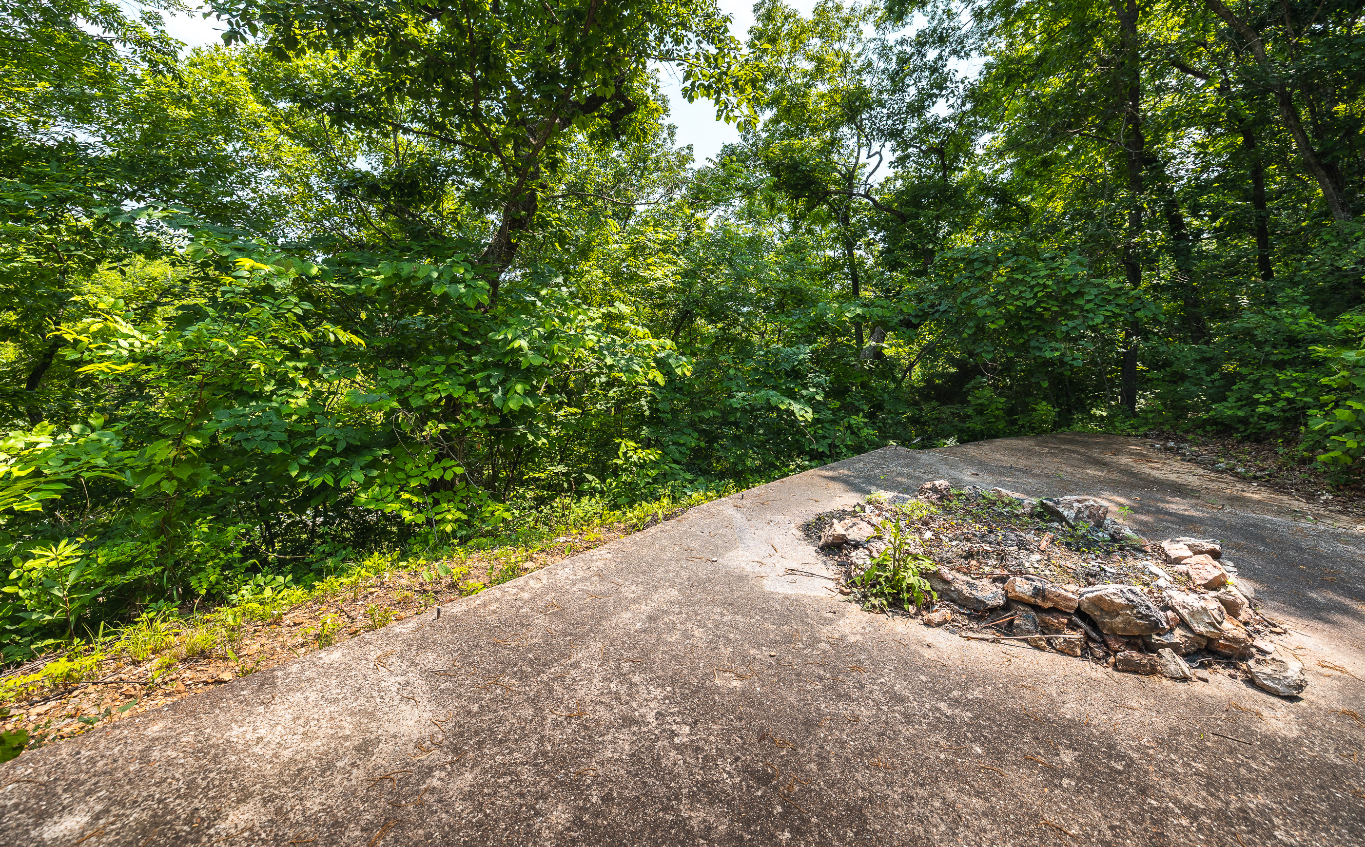 Listing Image 24