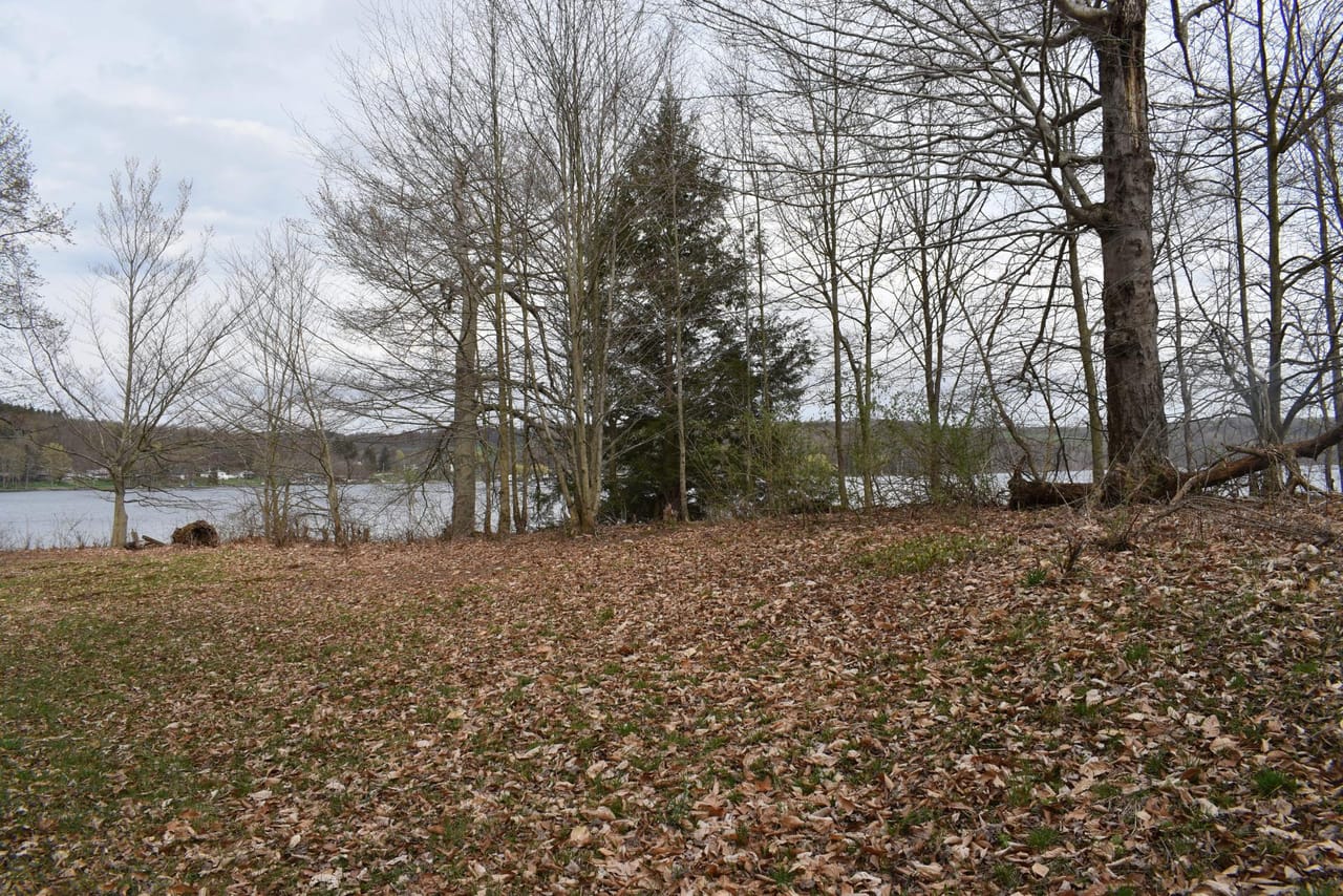 Listing Image 55