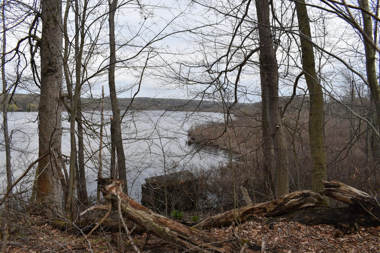 Listing Image 63
