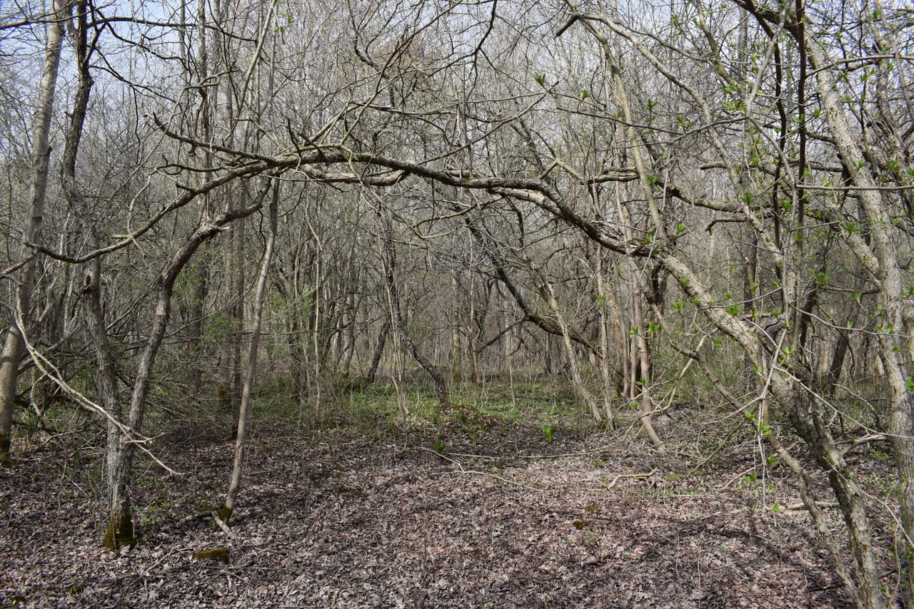 Listing Image 69