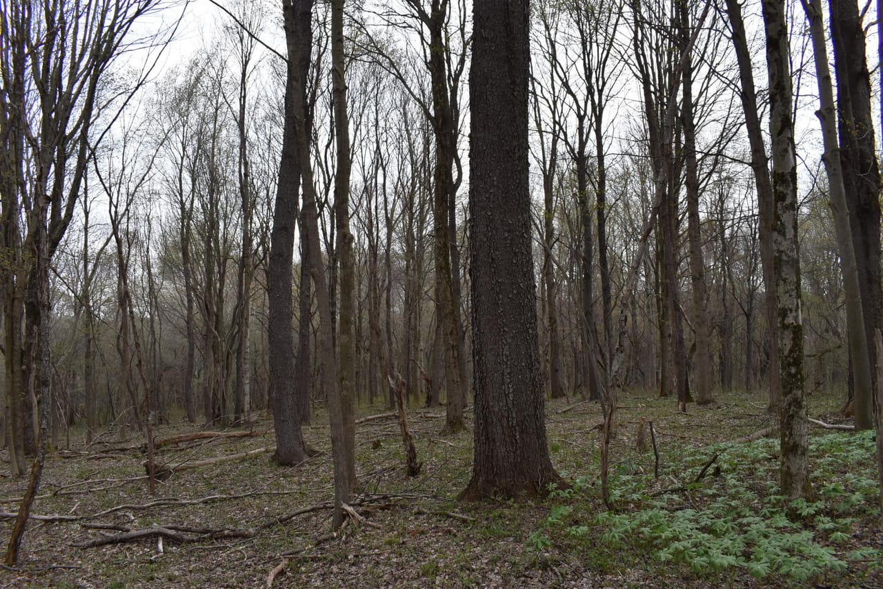 Listing Image 75