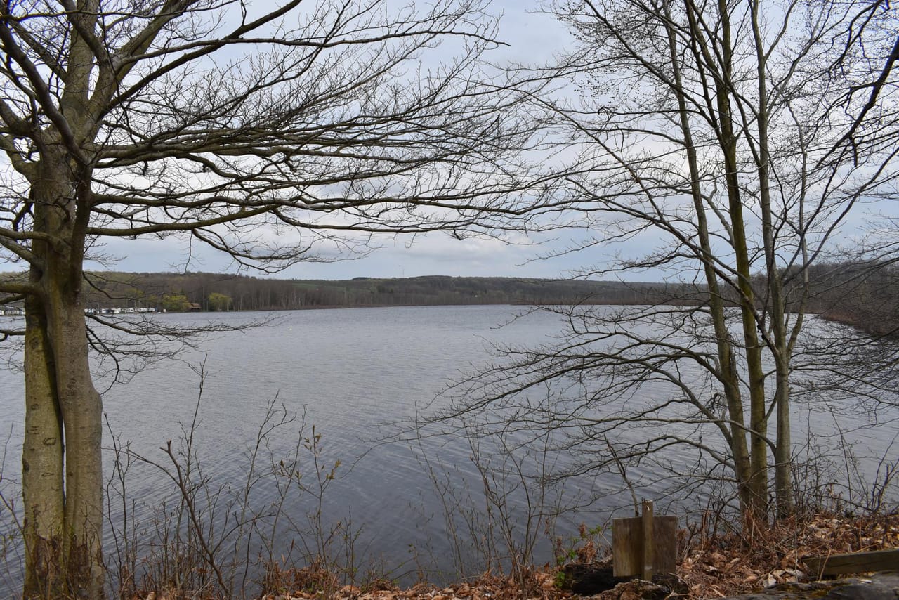 Listing Image 14