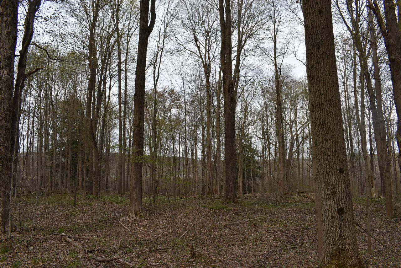 Listing Image 36