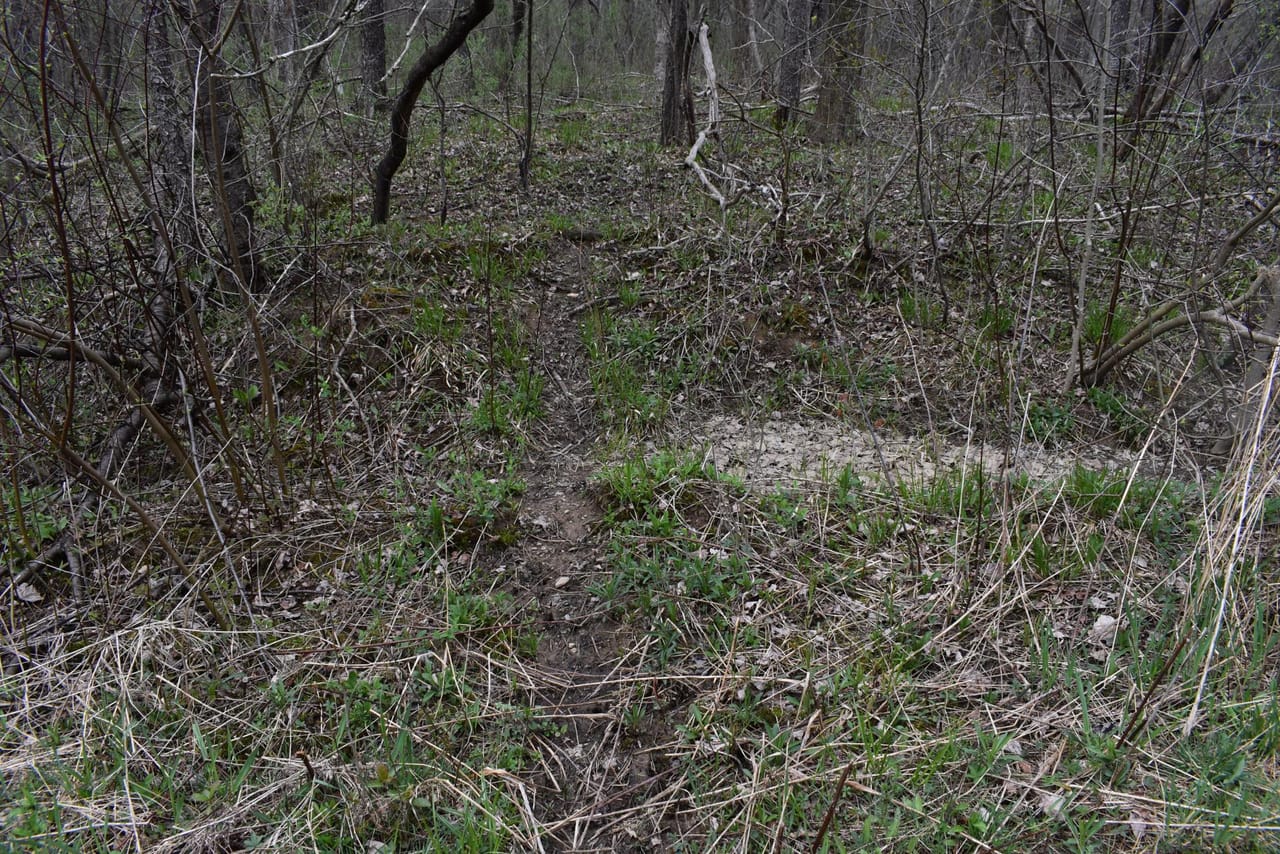 Listing Image 38