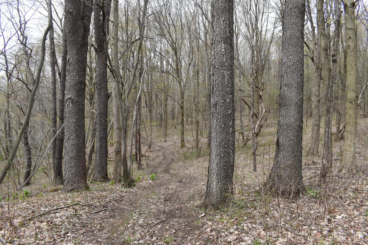 Listing Image 45