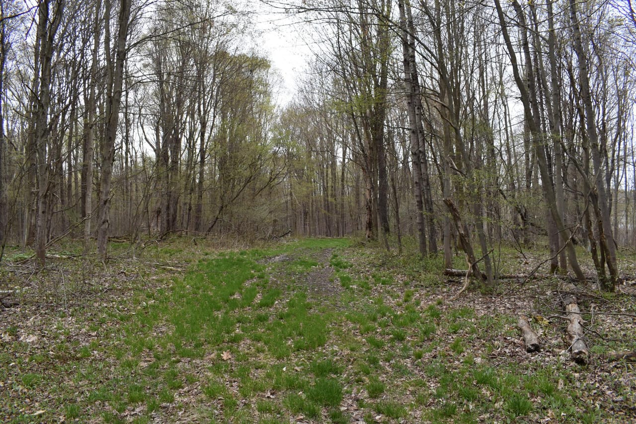 Listing Image 52