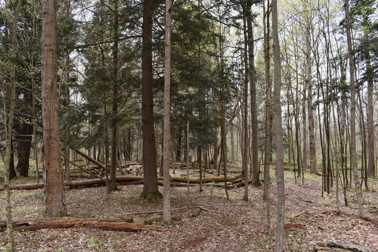 Listing Image 58