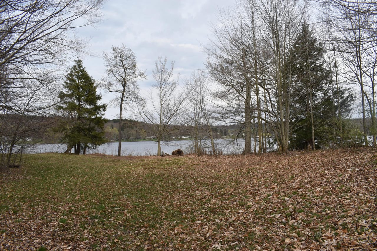 Listing Image 79