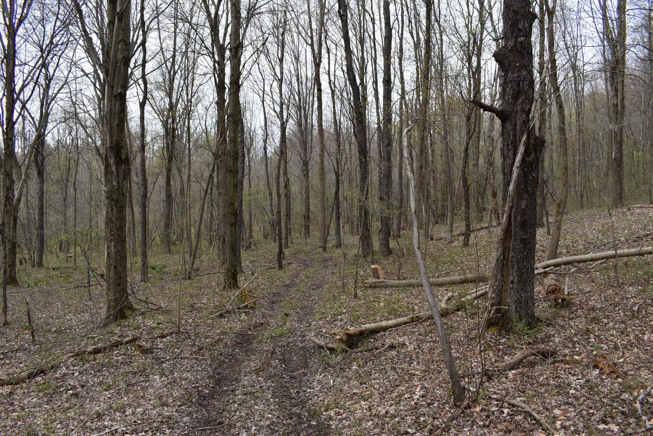 Listing Image 33