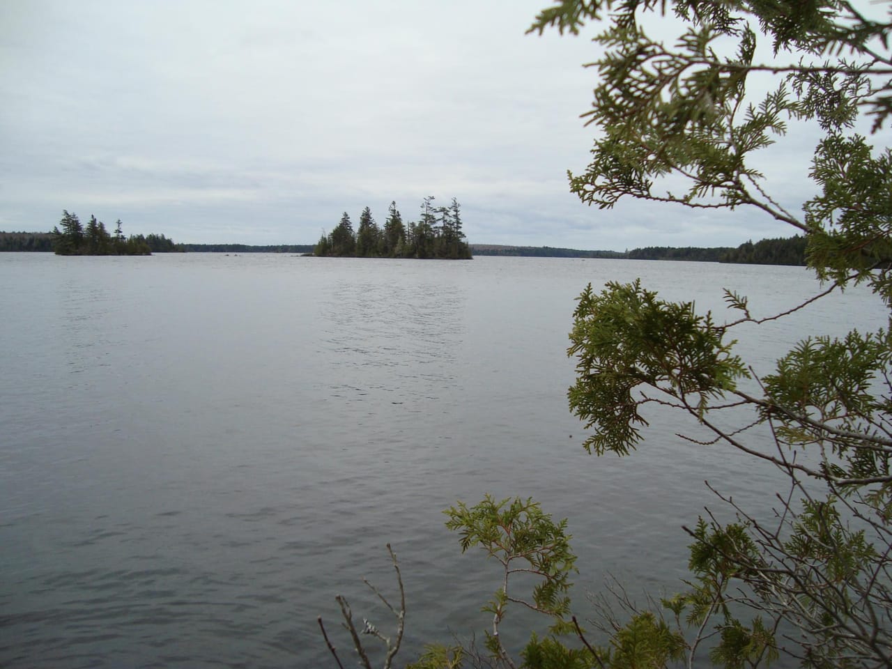 Listing Image 5
