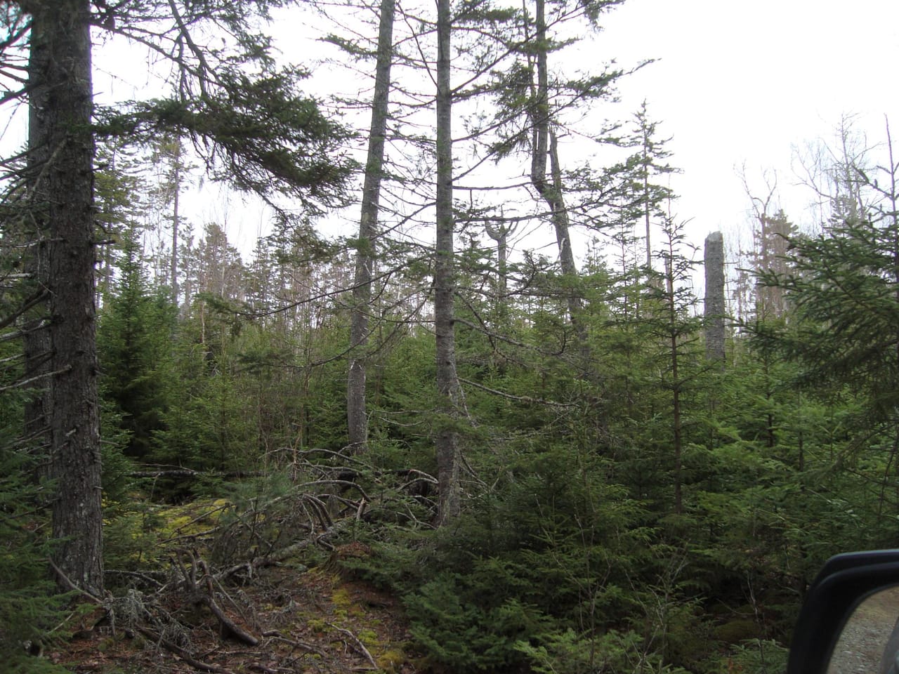 Listing Image 8