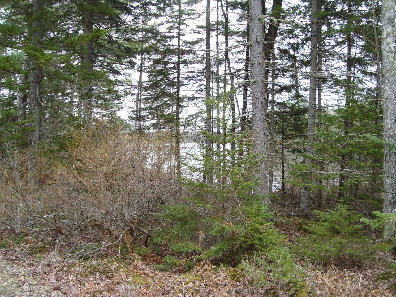 Listing Image 3