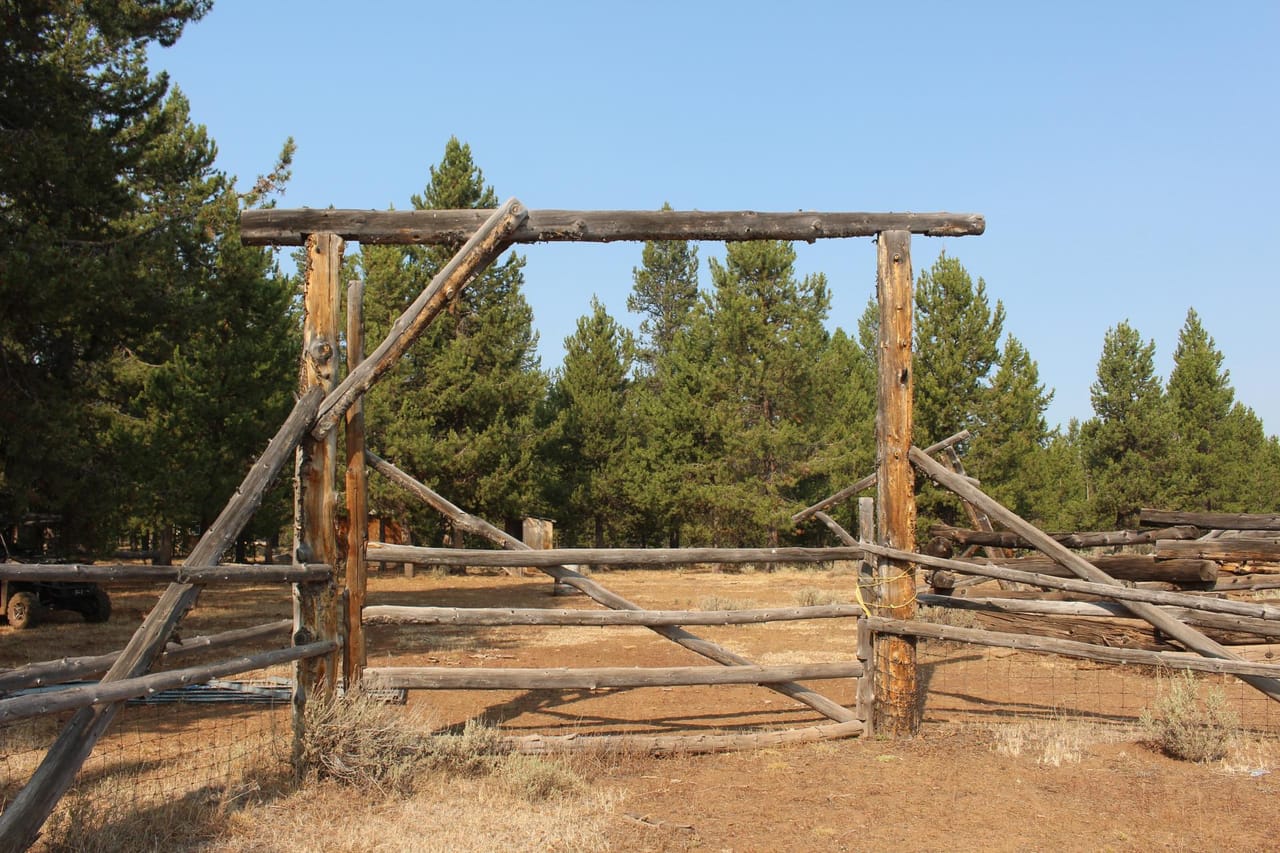 Listing Image 6