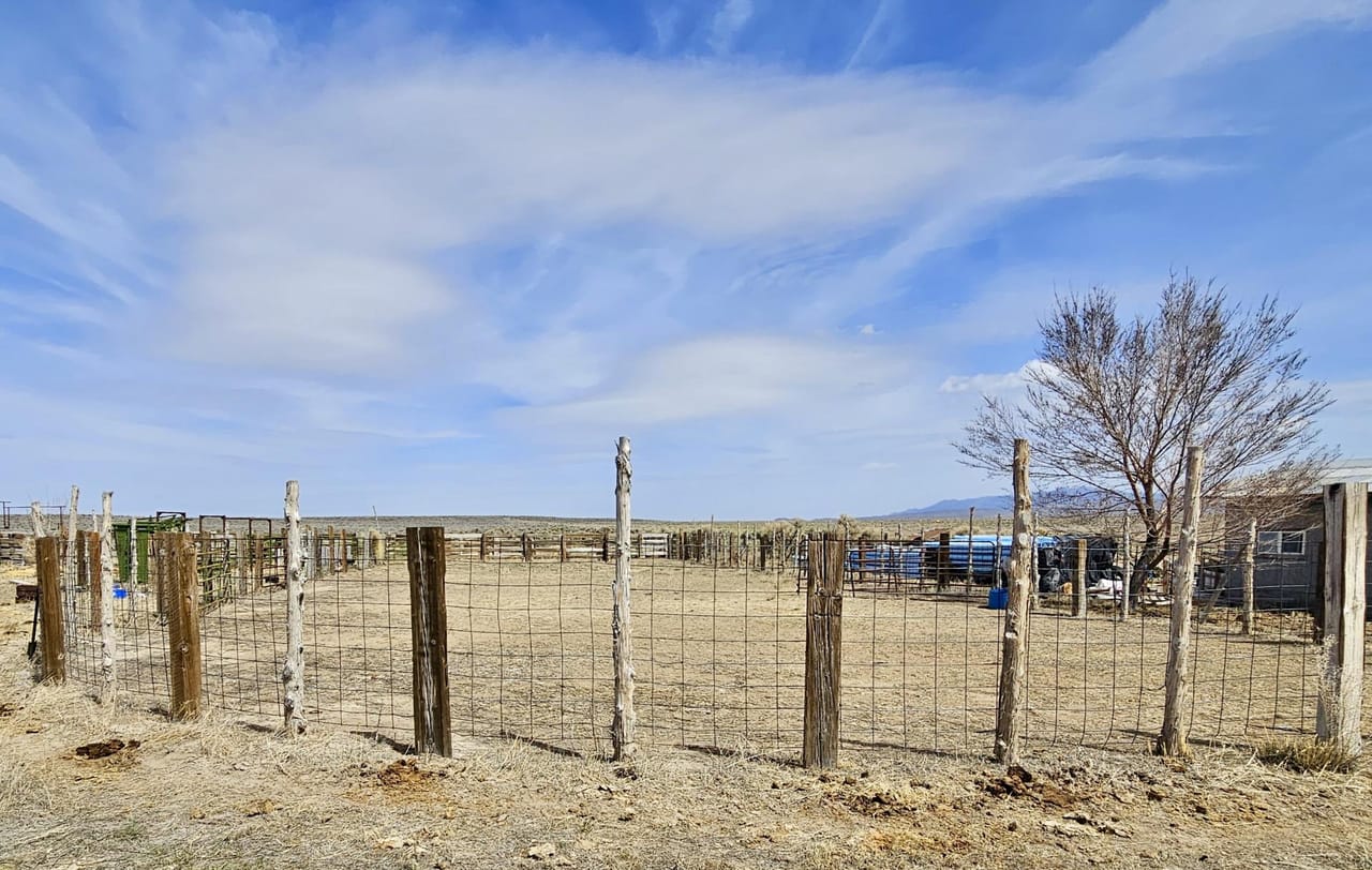 Listing Image 19