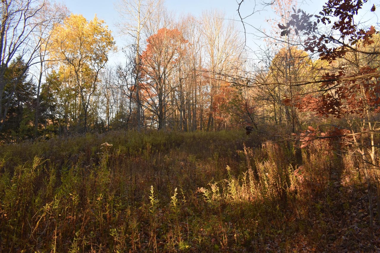 Listing Image 32
