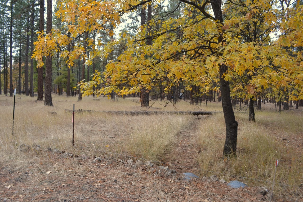 Listing Image 59
