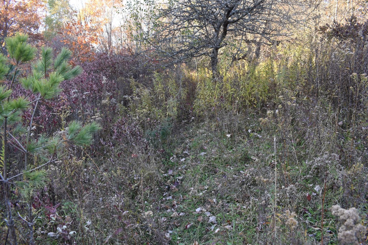 Listing Image 126