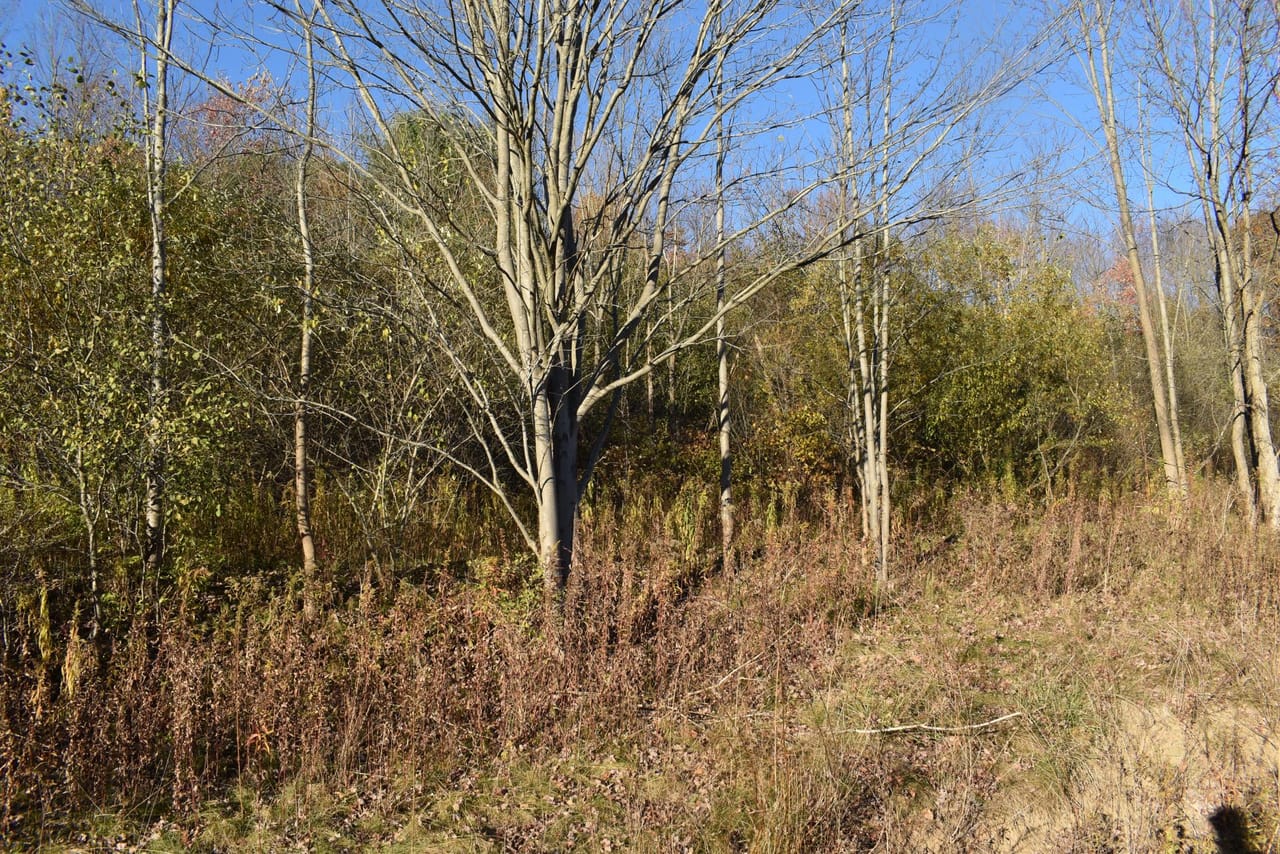 Listing Image 146