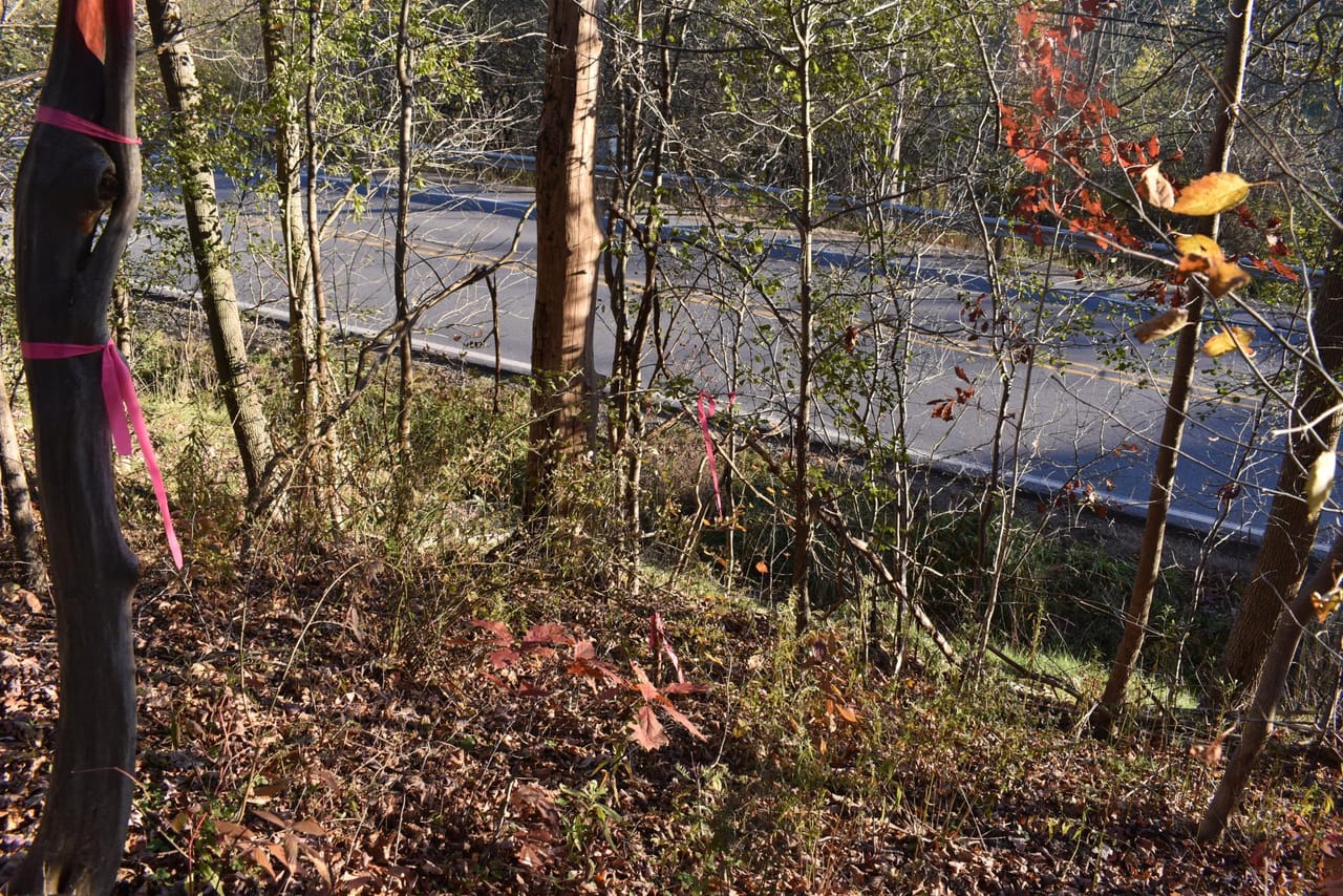 Listing Image 157