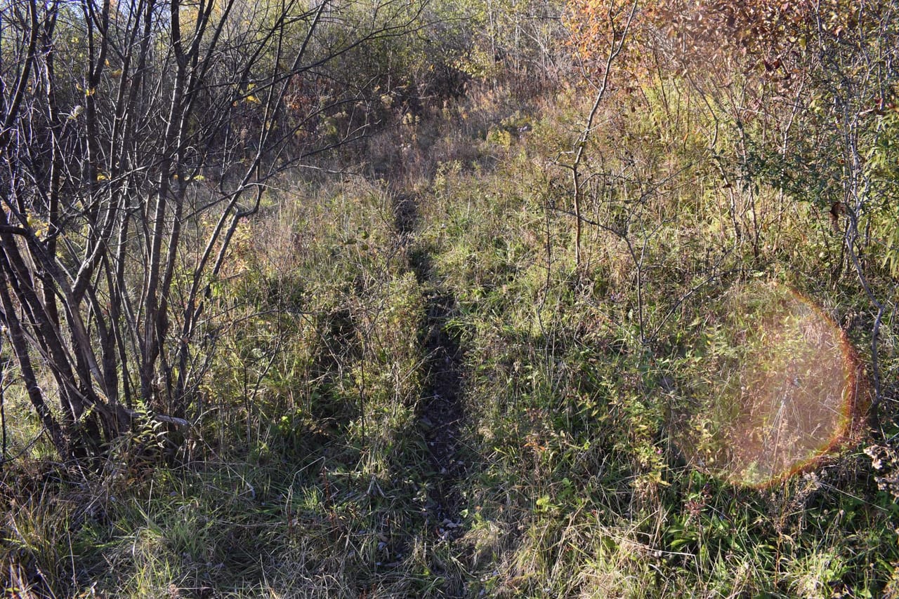 Listing Image 65