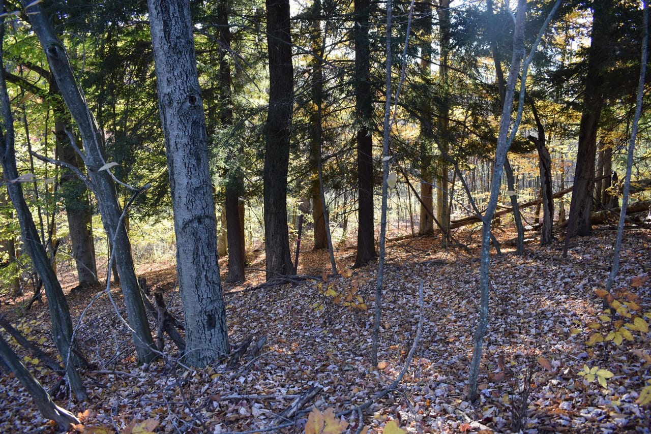 Listing Image 106
