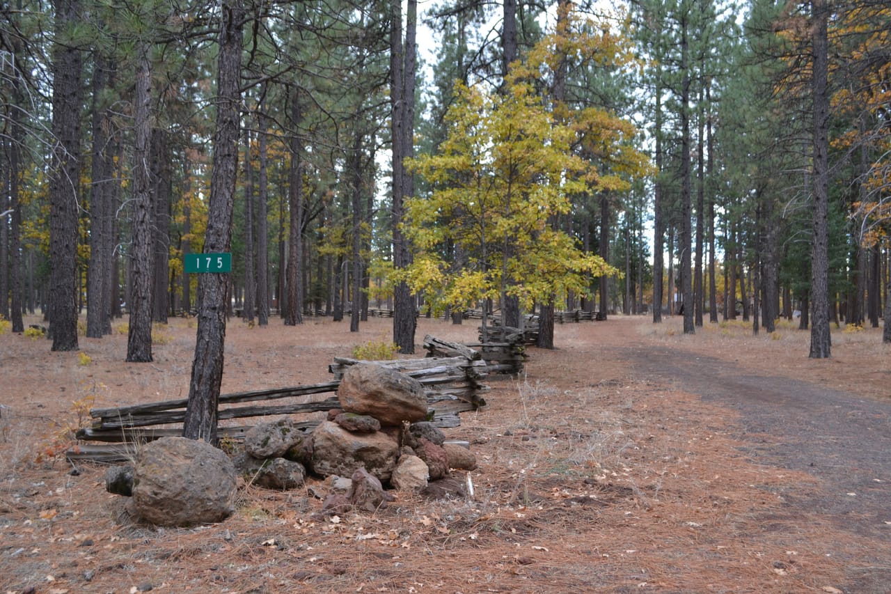 Listing Image 113
