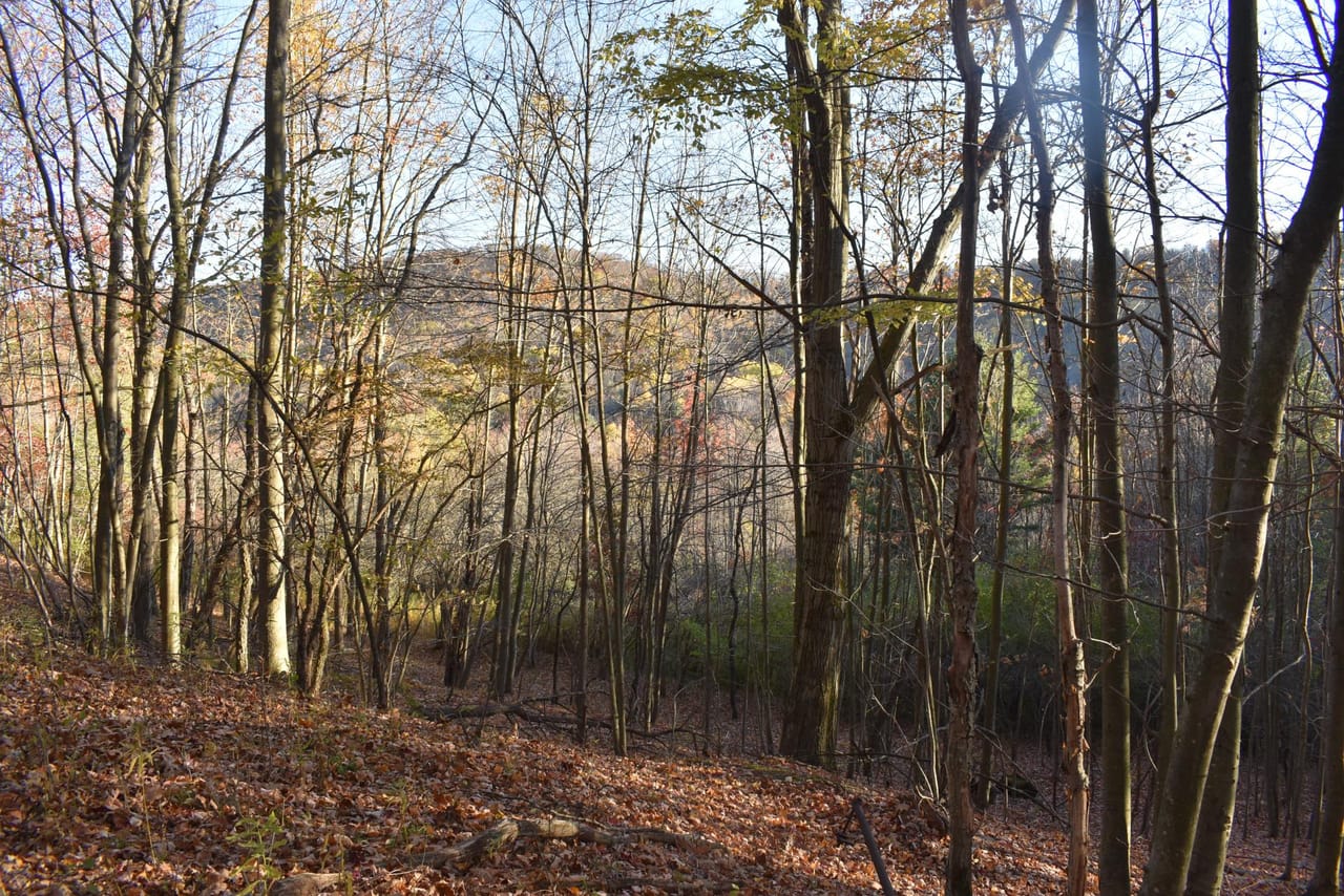 Listing Image 127