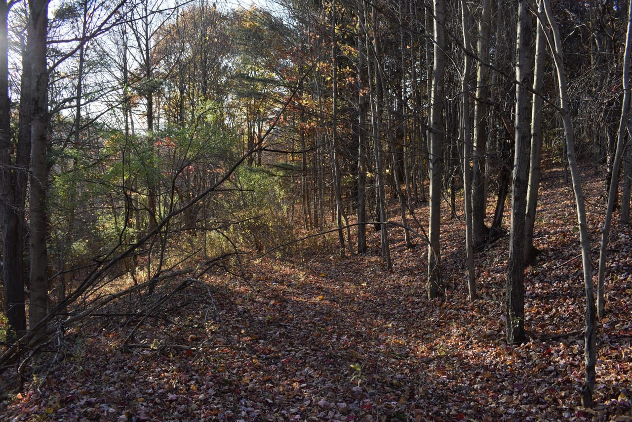 Listing Image 85