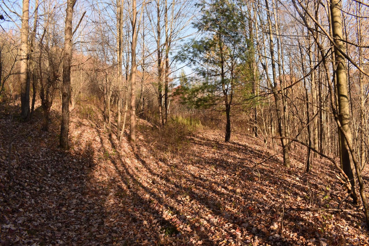 Listing Image 150