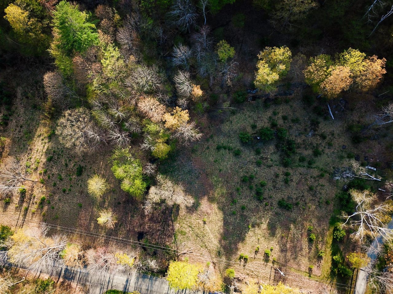 Listing Image 44