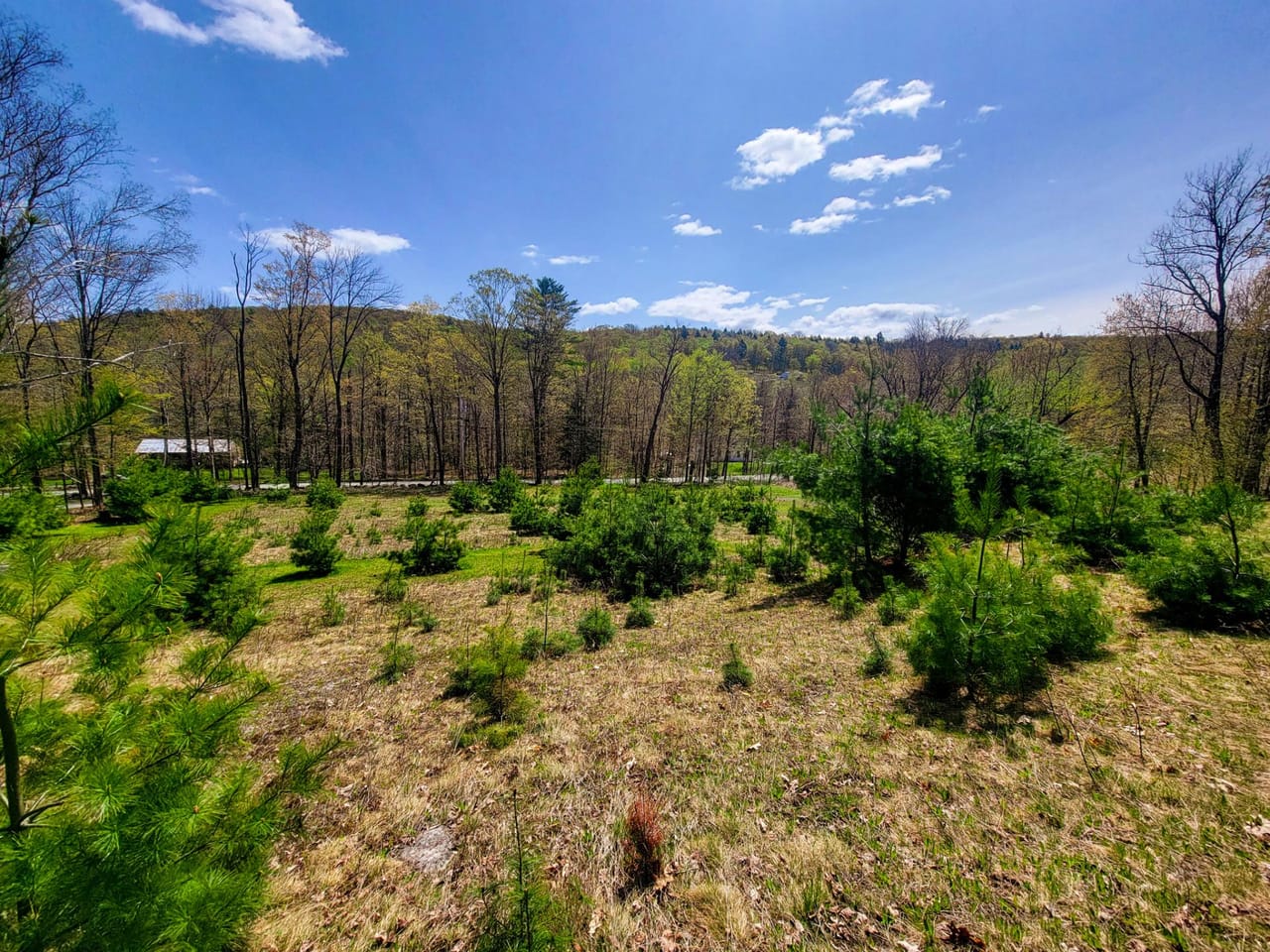 Listing Image 54