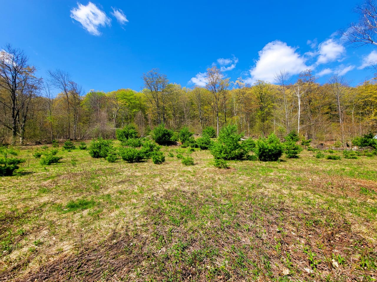Listing Image 59