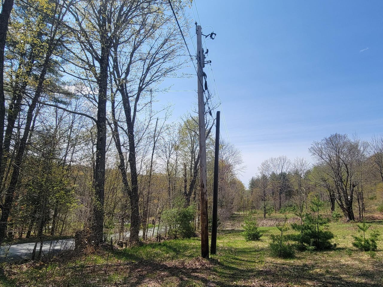 Listing Image 65