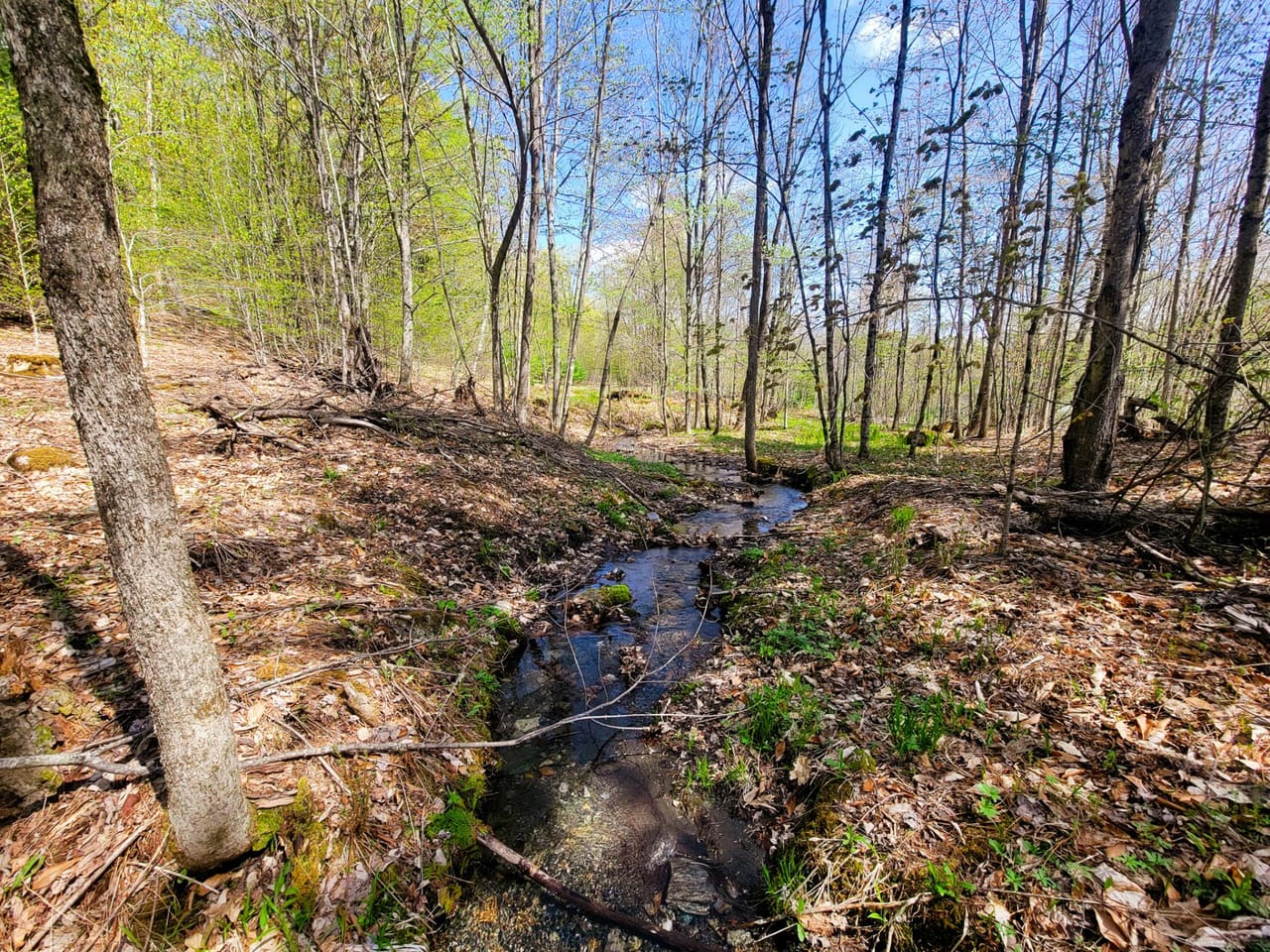 Listing Image 71