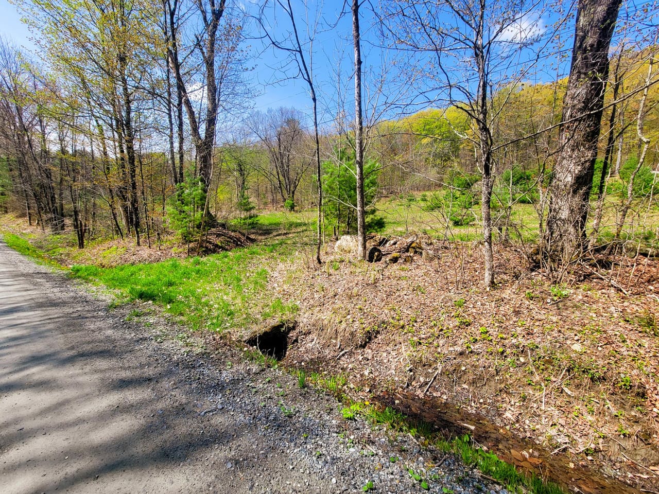 Listing Image 76