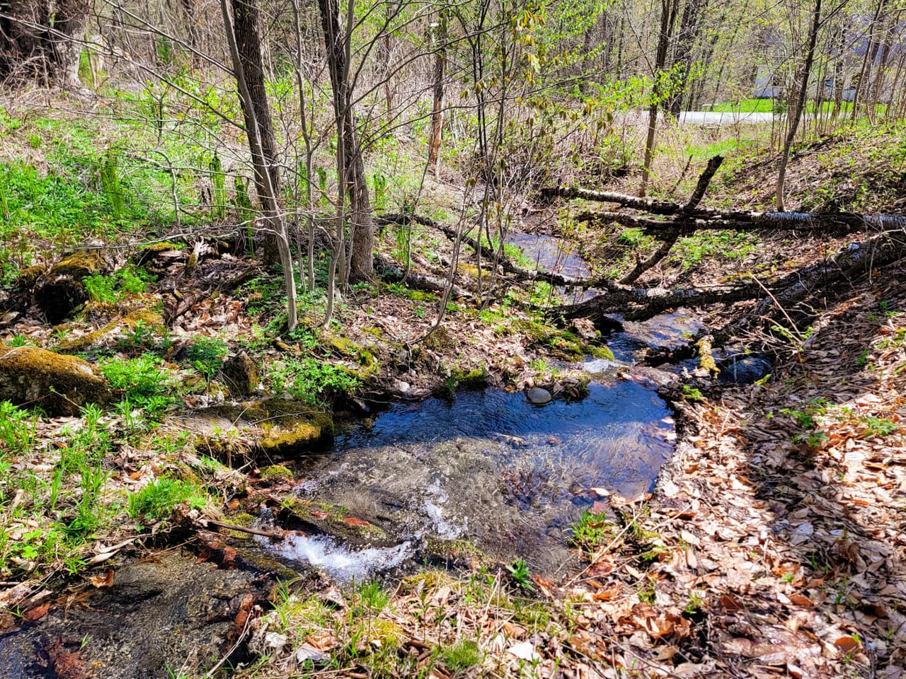Listing Image 16