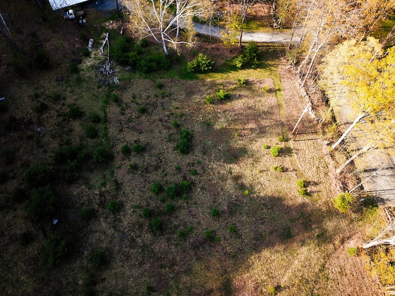 Listing Image 62