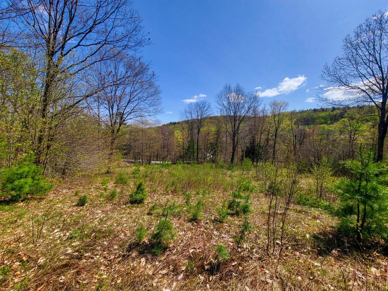 Listing Image 27