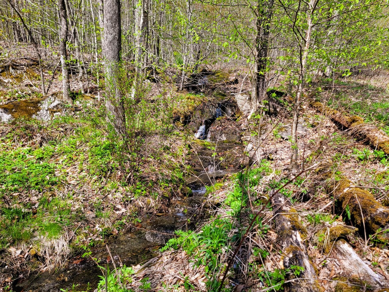Listing Image 31
