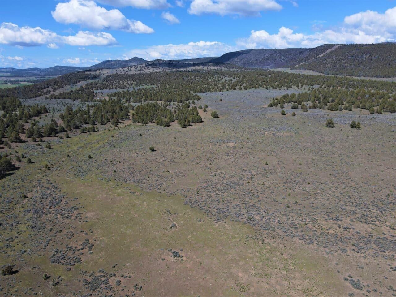 Listing Image 41
