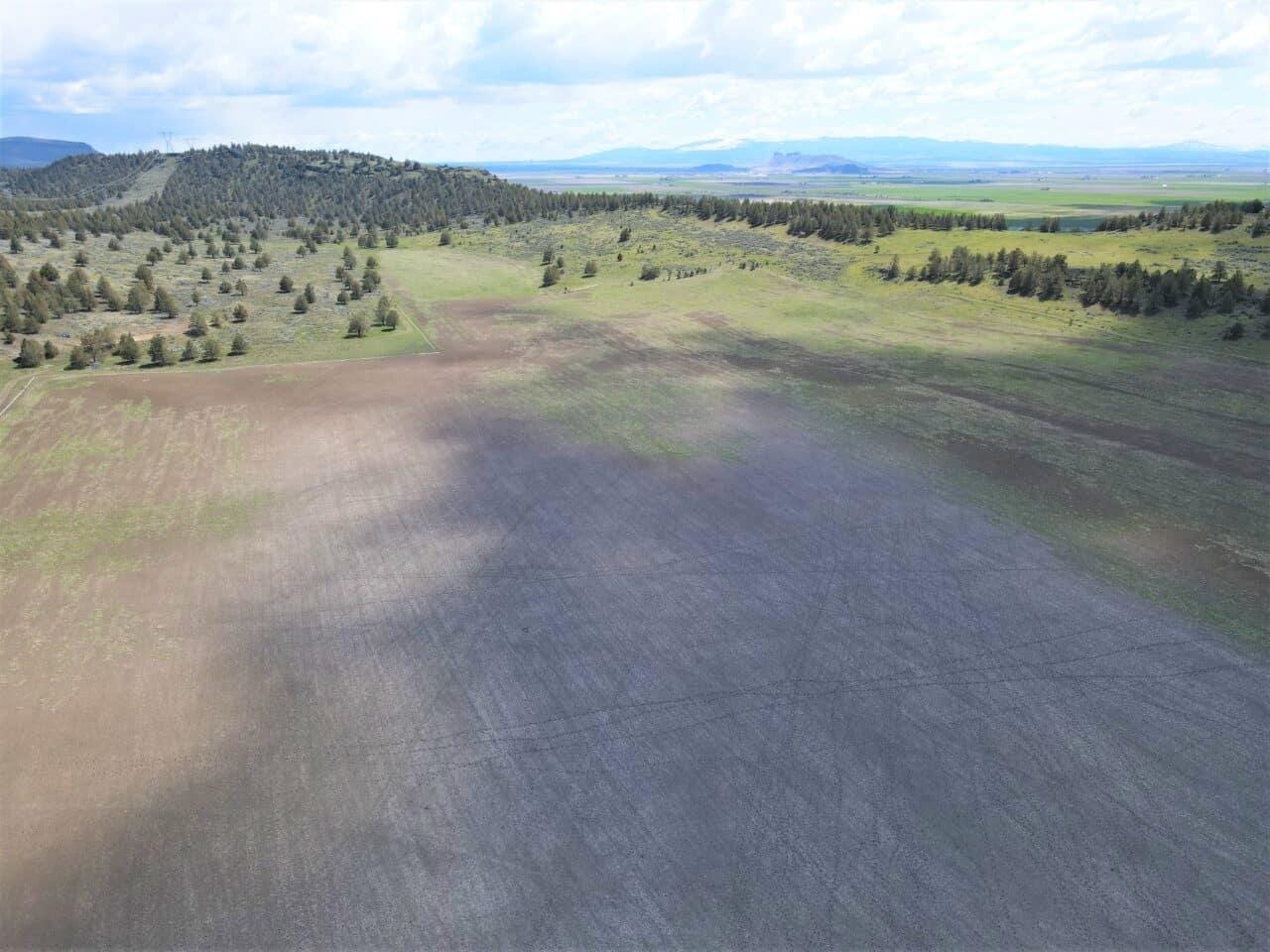 Listing Image 45