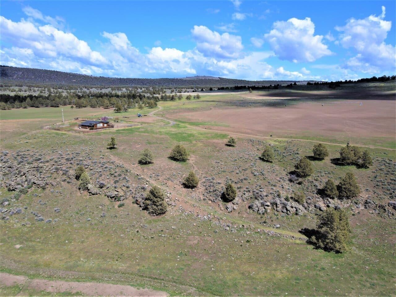 Listing Image 46