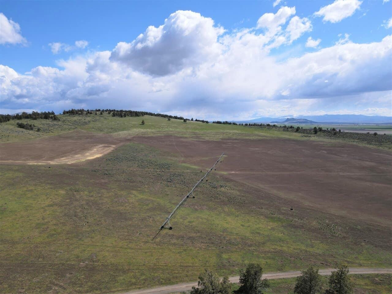 Listing Image 53