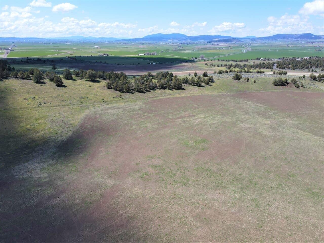 Listing Image 70