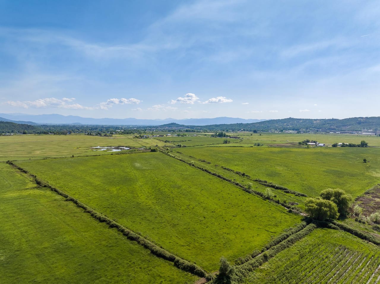 Reese Creek Farm