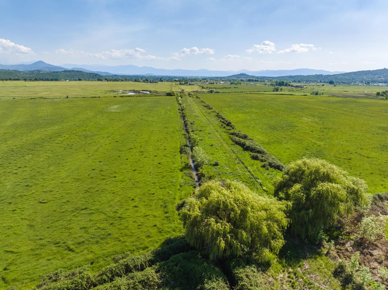 Reese Creek Farm